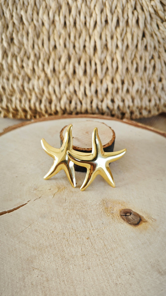 Boucles d'oreilles Véronique